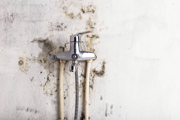 Best Mold Testing  in Ogden, KS