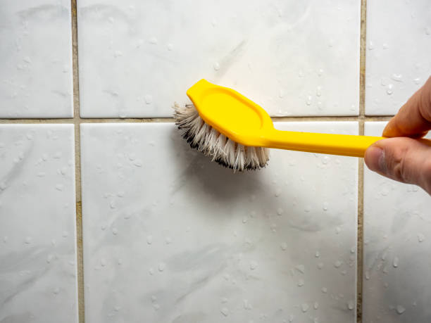 Best Commercial Mold Removal  in Ogden, KS