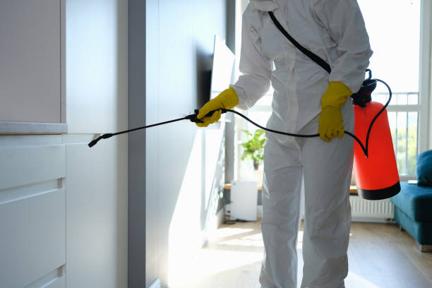 Best Office Mold Removal Services  in Ogden, KS