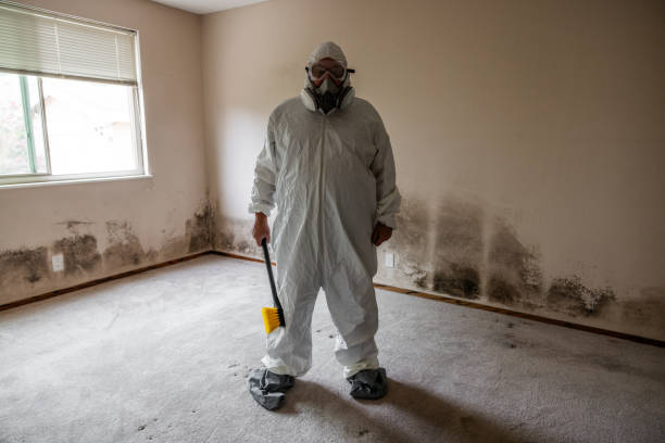 Best Mold Testing  in Ogden, KS